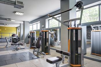 Fitness center with cardio theater, full weights circuit, separate yoga studio/stretching room